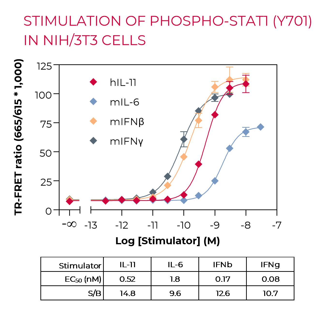 Stimulation of Phospho-STAT1 in NIH/3T3 cells Stimulation of Phospho-STAT1 in NIH/3T3 cells