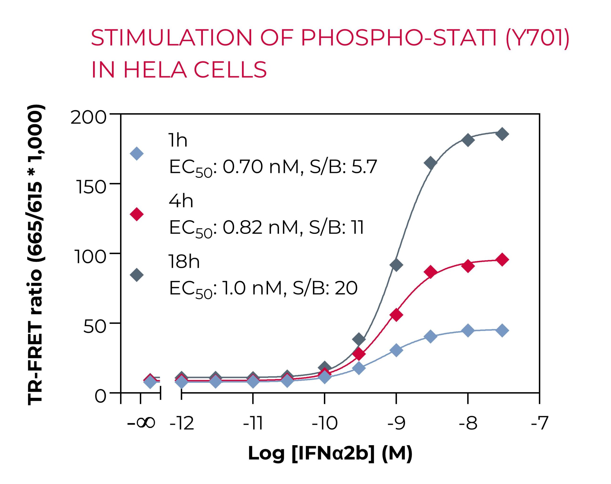 Stimulation of Phospho-STAT1 in HeLa cells Stimulation of Phospho-STAT1 in HeLa cells