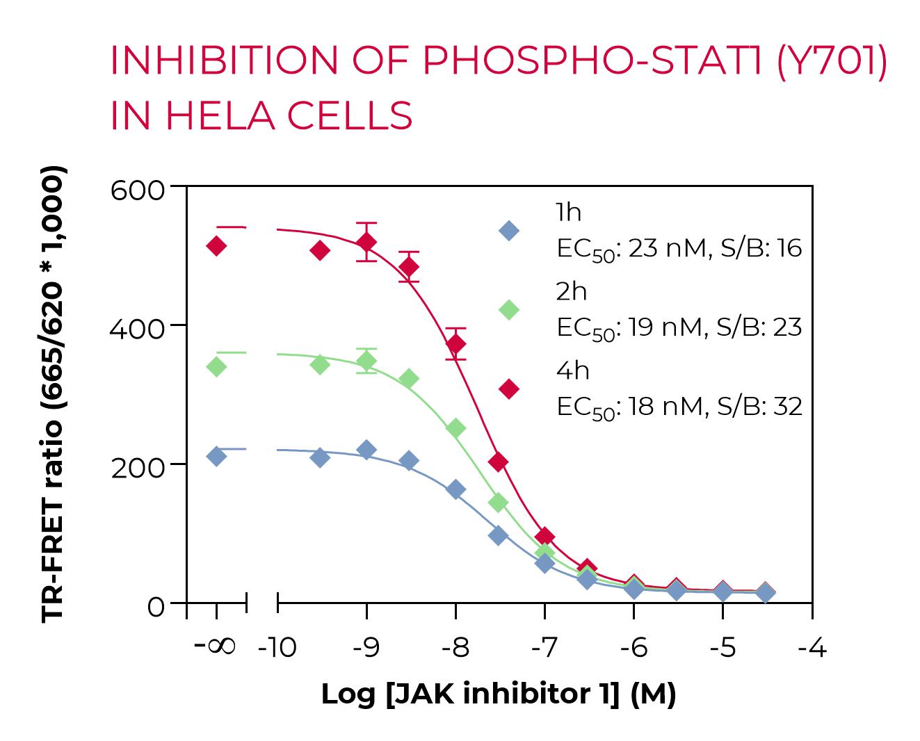 High Performance Phospho-STAT1 inhibition in HeLa cells High Performance Phospho-STAT1 inhibition in HeLa cells