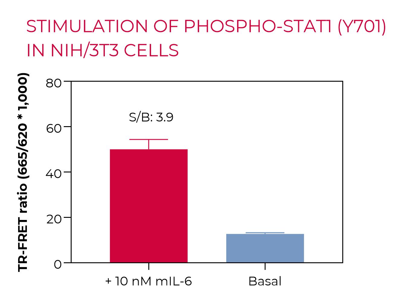 High Performance Phospho-STAT1 in NIH/3T3 High Performance Phospho-STAT1 in NIH/3T3