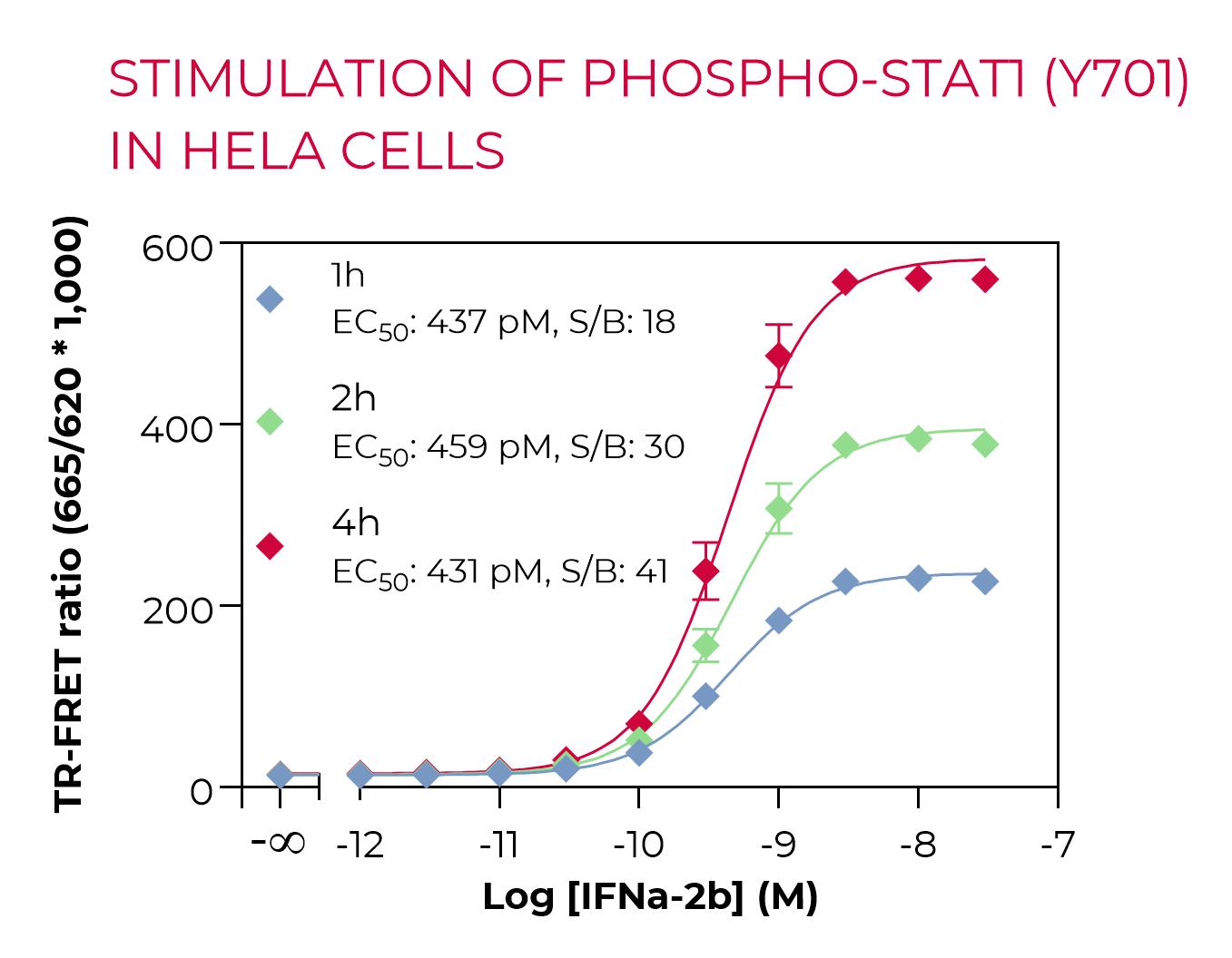 High Performance Phospho-STAT1 stimulation in HeLa cells High Performance Phospho-STAT1 stimulation in HeLa cells