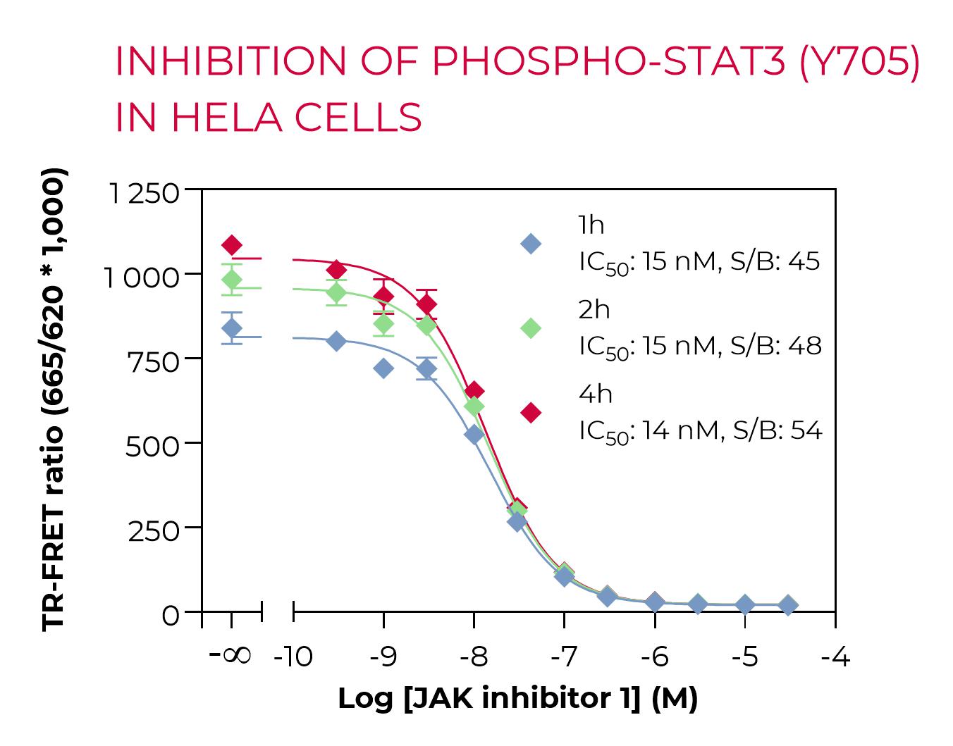 Inhibition of Phospho-STAT3 (Y705) in HeLa cells Inhibition of Phospho-STAT3 (Y705) in HeLa cells