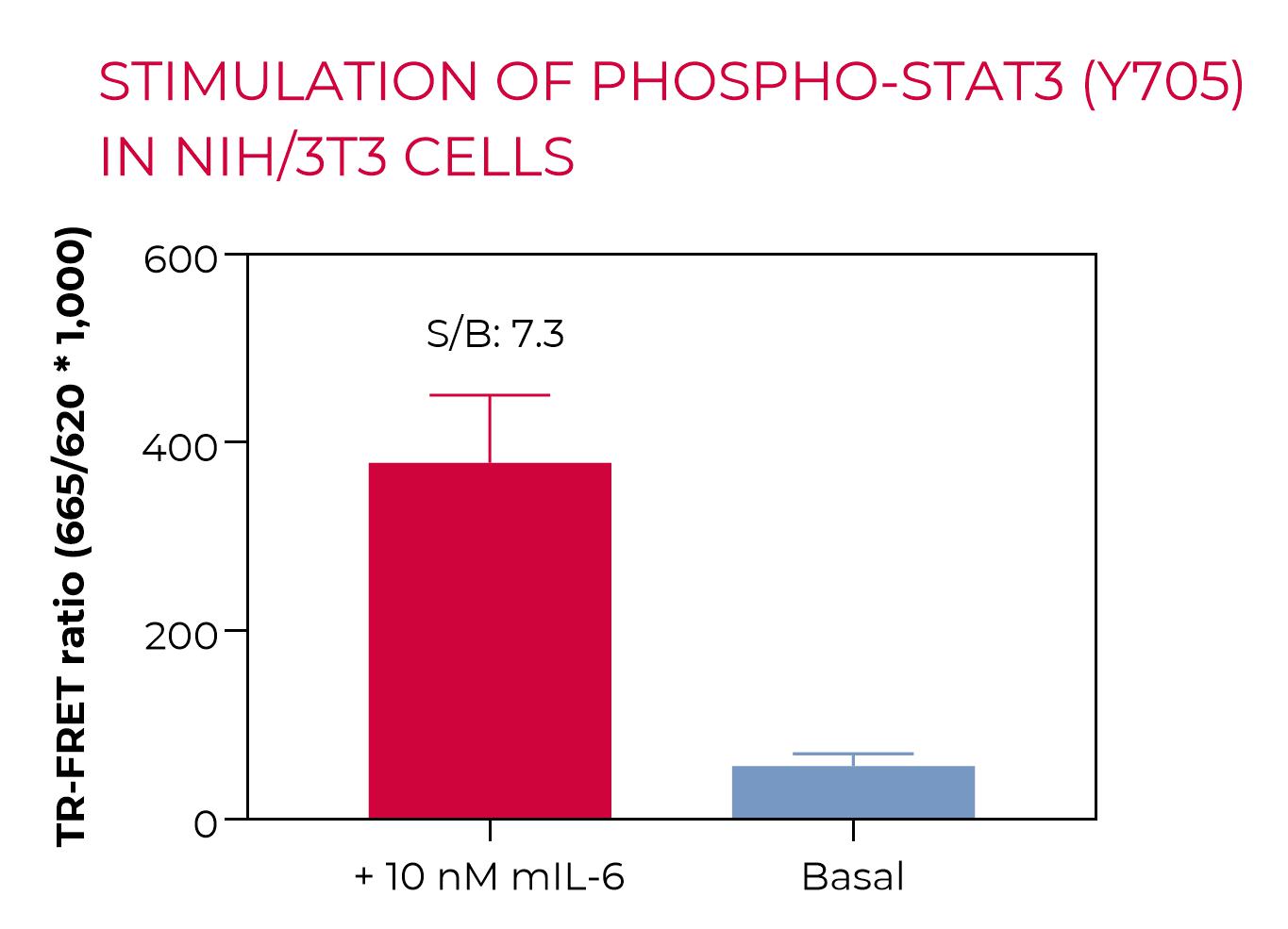 Stimulation of Phospho-STAT3 (Y705) in NIH/3T3 cells Stimulation of Phospho-STAT3 (Y705) in NIH/3T3 cells