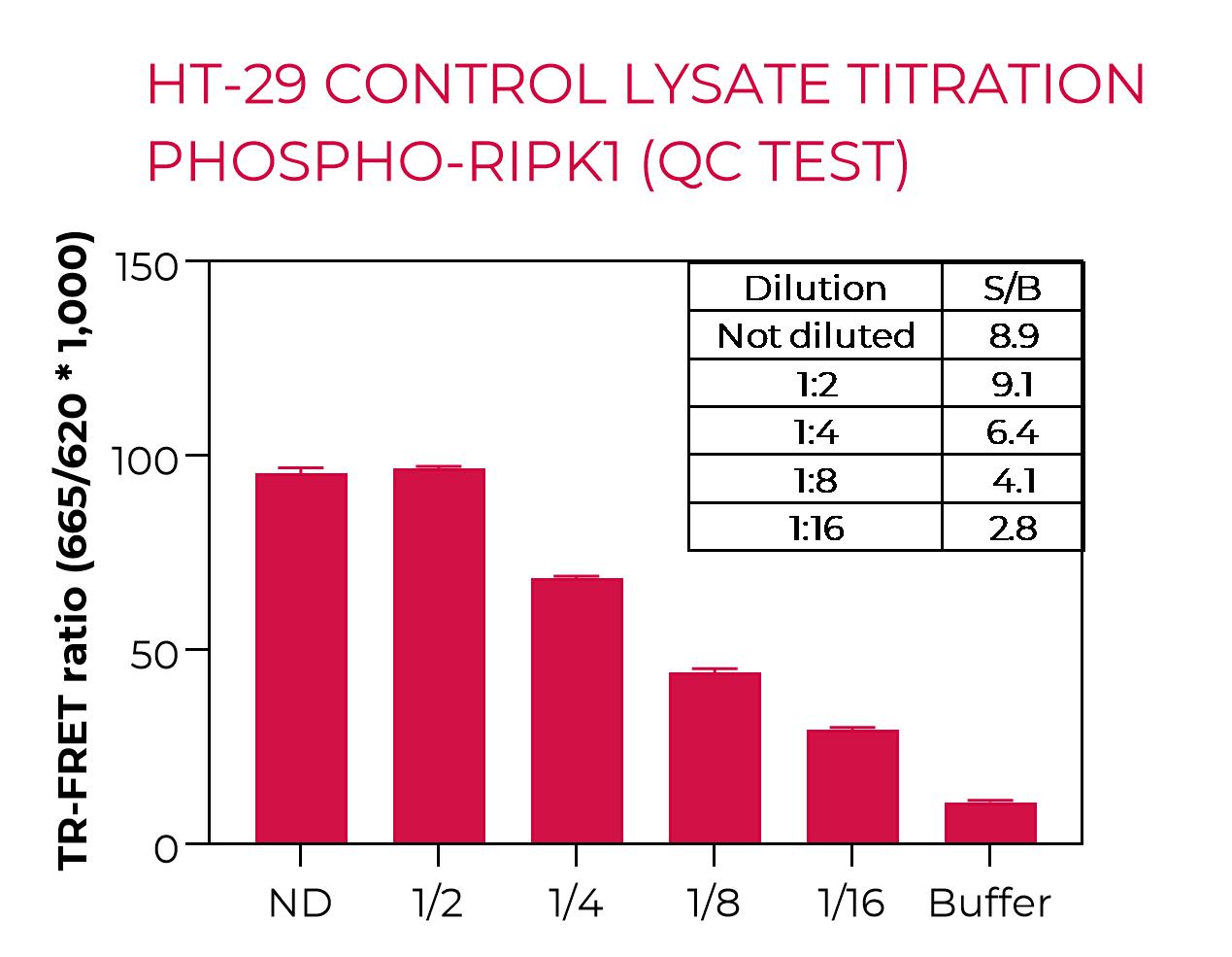 HT-29 control lysate titration (QC Test) - Phospho-RIPK1 HT-29 control lysate titration (QC Test) - Phospho-RIPK1