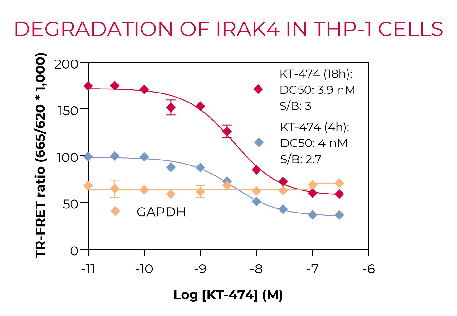 Degradation of Total IRAK4 by KT-474 in THP-1 cells Degradation of Total IRAK4 by KT-474 in THP-1 cells