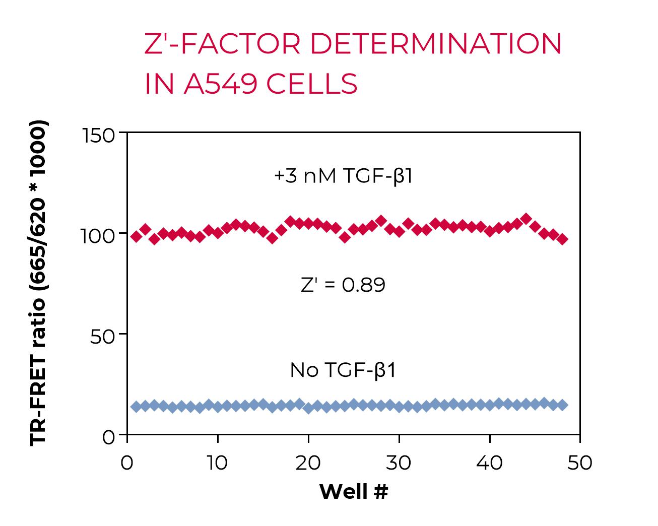 Z'-factor determination in A549 cells Z'-factor determination in A549 cells