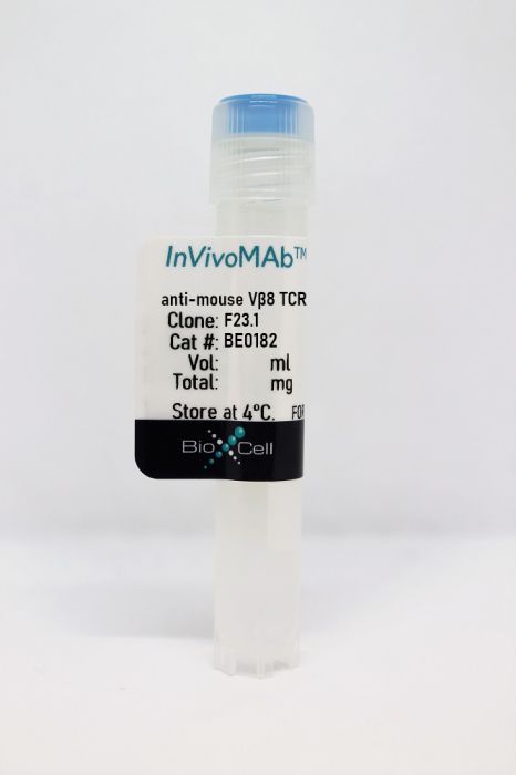 InVivoMAb anti-mouse Vβ8 TCR