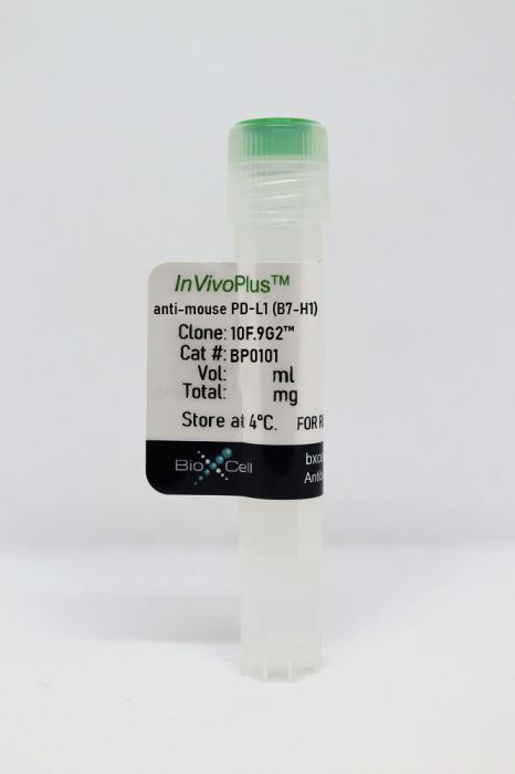 InVivoPlus anti-mouse PD-L1 (B7-H1)