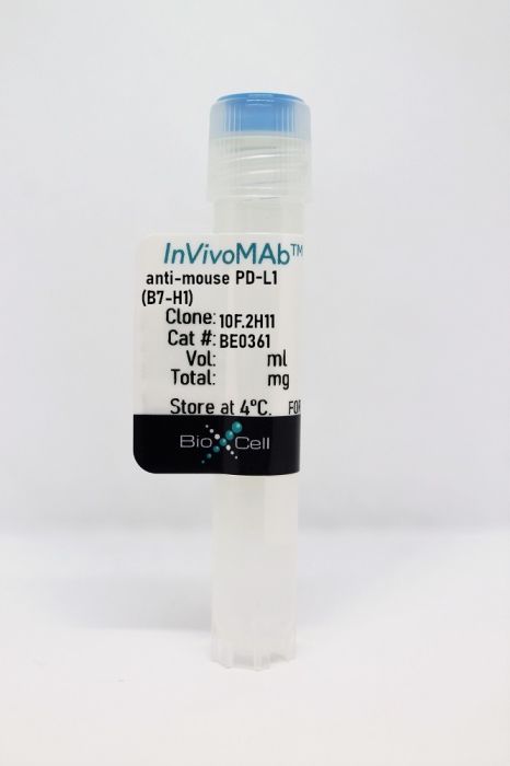InVivoMAb anti-mouse PD-L1 (B7-H1)