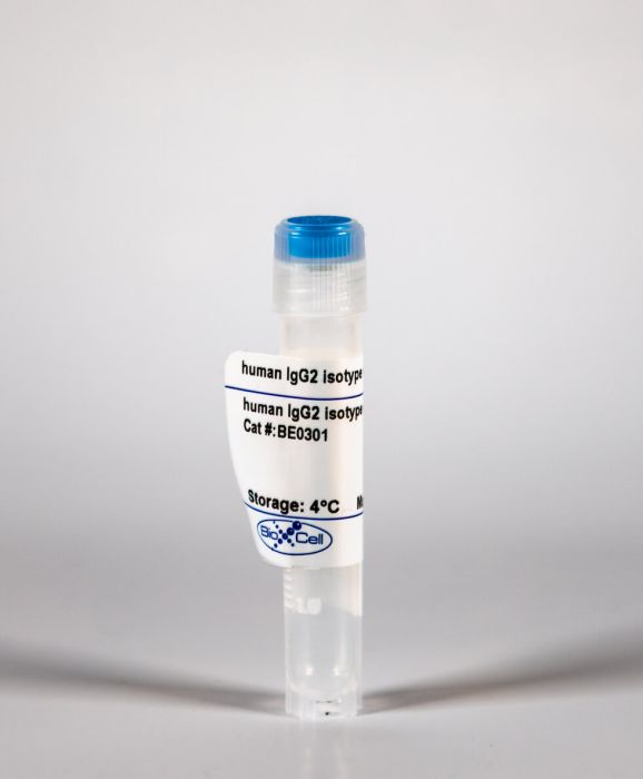 InVivoMAb human IgG2 isotype control