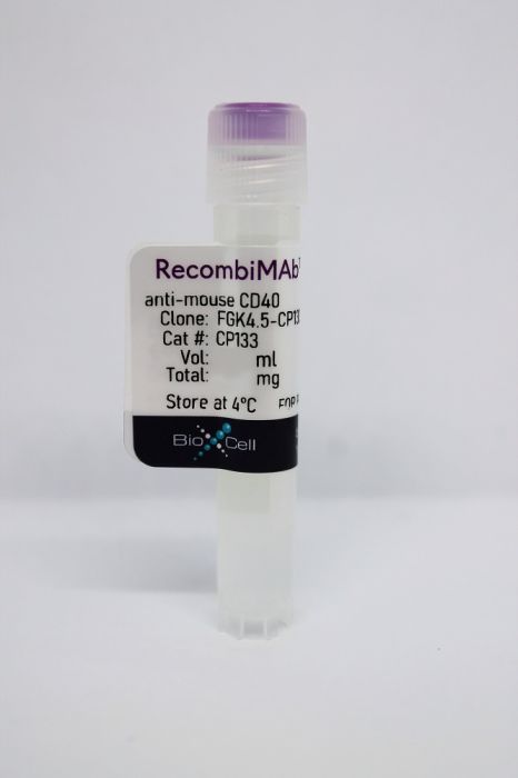 RecombiMAb anti-mouse CD40