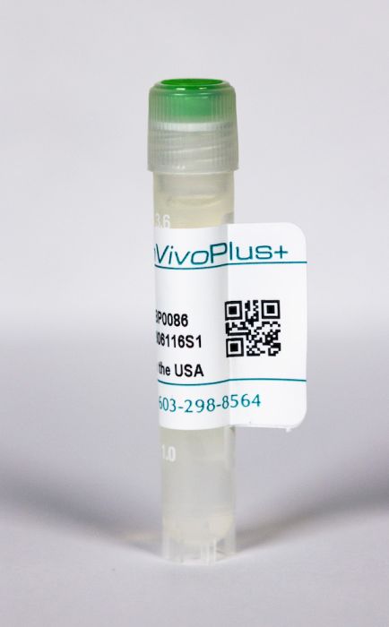 InVivoPlus mouse IgG2b isotype control, unknown specificity