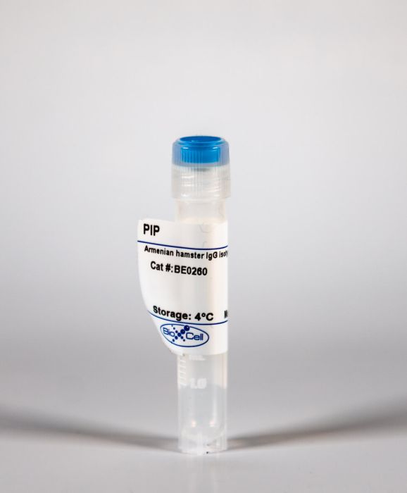 InVivoMAb Armenian hamster IgG isotype control, anti-glutathione S-transferase