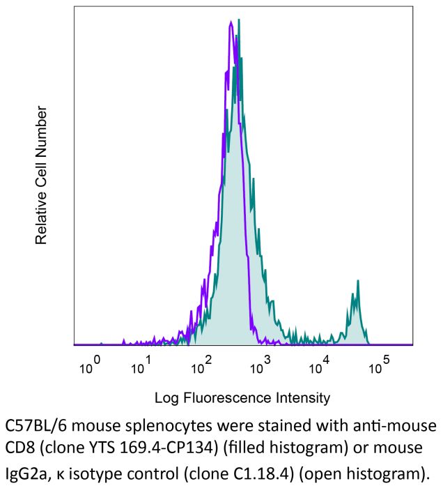 RecombiMAb anti-mouse CD8α