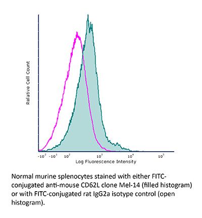 InVivoMAb anti-mouse L-Selectin (CD62L)