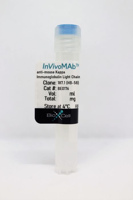 InVivoMAb anti-mouse Kappa Immunoglobulin Light Chain