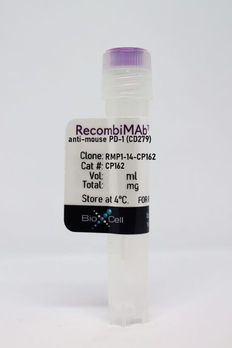 RecombiMAb anti-mouse PD-1 (CD279)