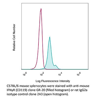 InVivoMAb anti-mouse IFNγR (CD119)