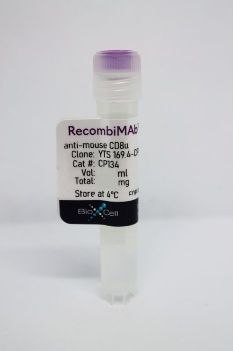 RecombiMAb anti-mouse CD8α