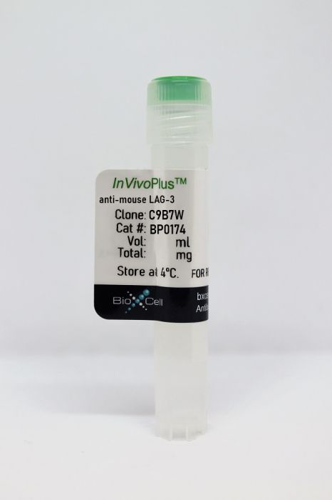 InVivoPlus anti-mouse LAG-3