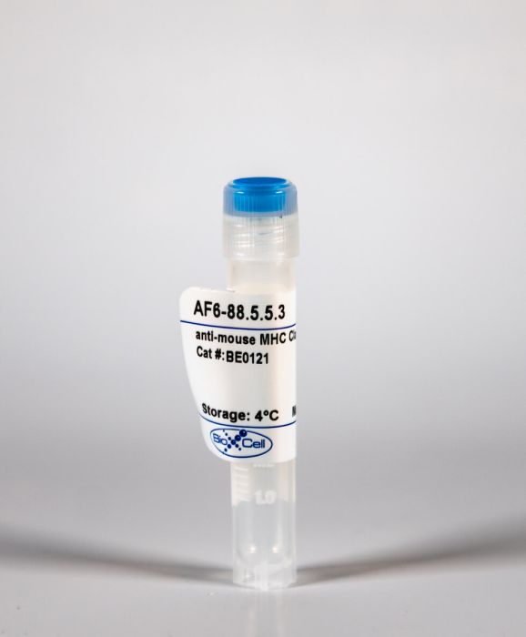 InVivoMAb anti-mouse MHC Class I (H-2Kb)