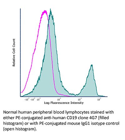 InVivoMAb anti-human CD19