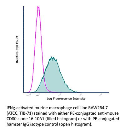 InVivoMAb anti-mouse CD80 (B7-1)