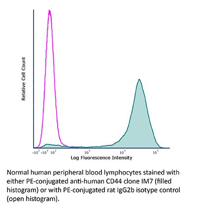 InVivoMAb anti-mouse/human CD44