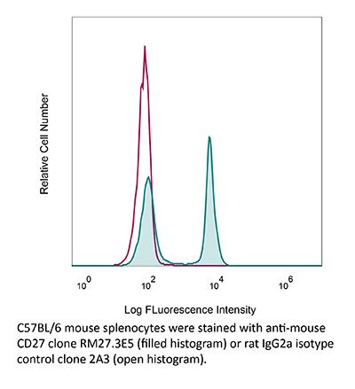 InVivoMAb anti-mouse CD27