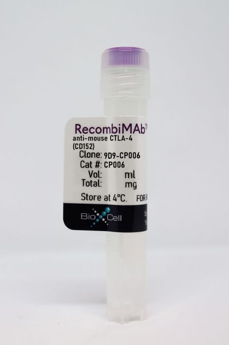 RecombiMAb anti-mouse CTLA-4 (CD152)