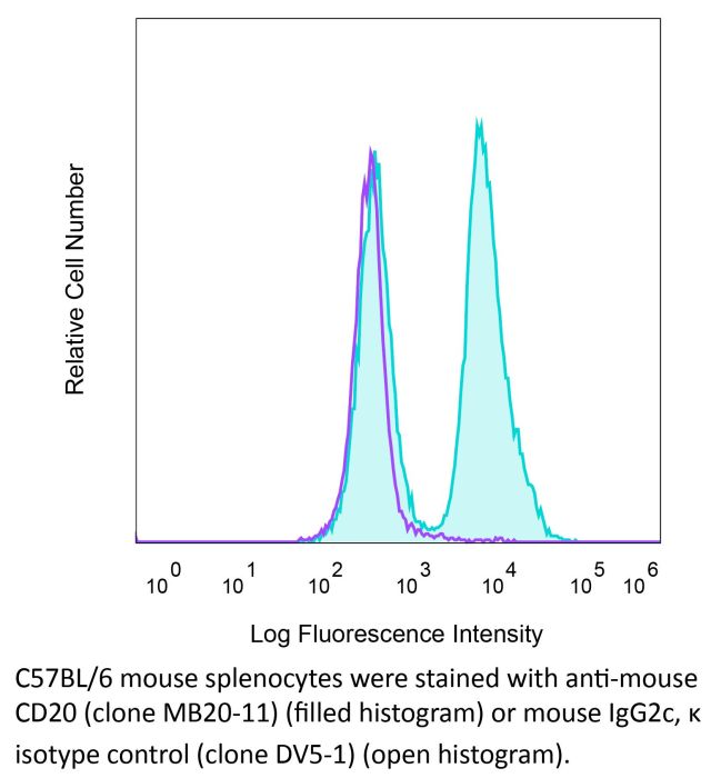 InVivoPlus anti-mouse CD20