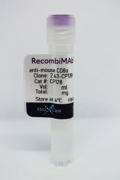 RecombiMAb anti-mouse CD8α