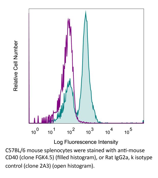 InVivoMAb anti-mouse CD40