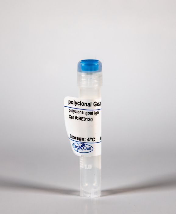 InVivoMAb polyclonal goat IgG
