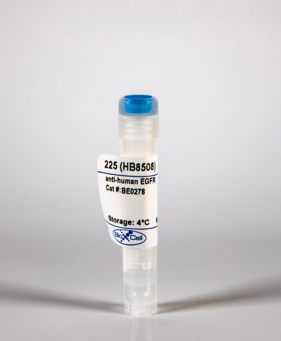 InVivoMAb anti-human EGFR