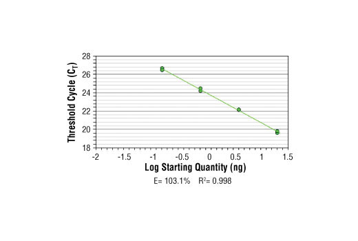 SimpleChIP ®  Human NPM1 Intron 1 Primers