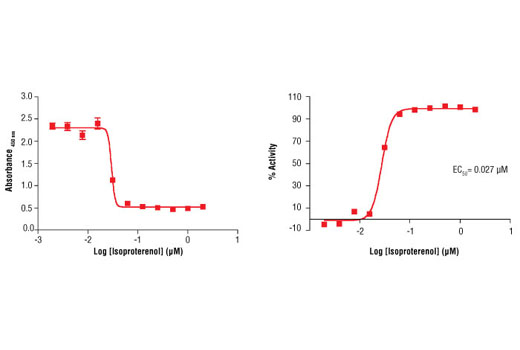 Cyclic AMP XP ®  Assay Kit