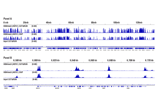 CUT&RUN pAG-MNase and Spike-In DNA