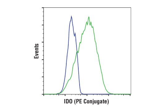 IDO (D5J4E™) Rabbit mAb (PE Conjugate)