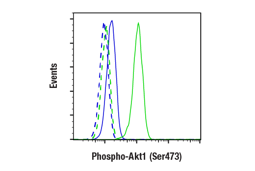 Phospho-Akt Isoform Antibody Sampler Kit