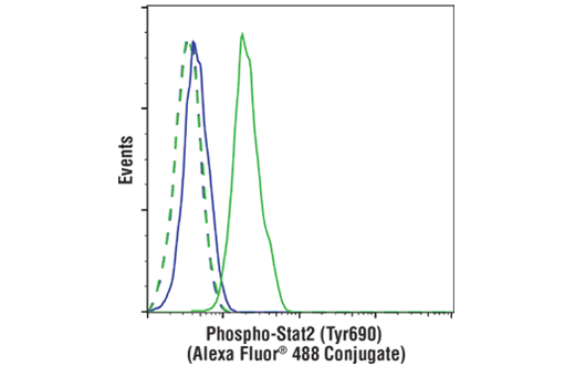 Phospho-Stat2 (Tyr690) (D3P2P) Rabbit mAb (Alexa Fluor ®  488 Conjugate)