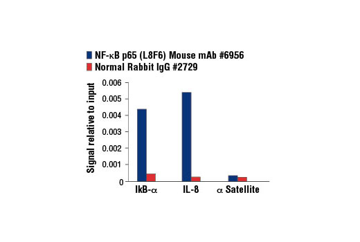 NF-kappaB Family Member Antibody Sampler Kit