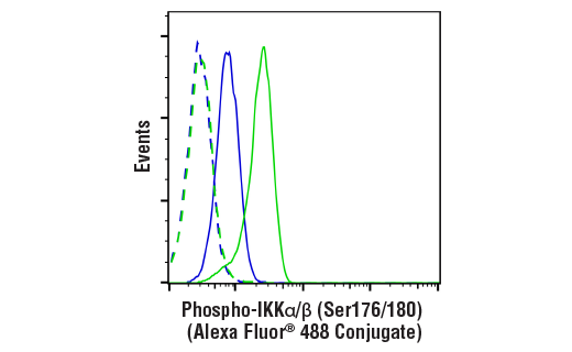 CST_Phospho-IKKalpha/beta (Ser176/180) (16A6) Rabbit mAb (Alexa Fluor ...