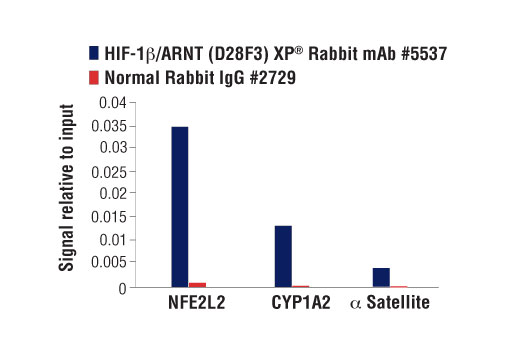 Hypoxia Pathway Antibody Sampler Kit