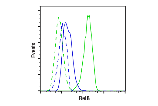 NF-kappaB Family Antibody Sampler Kit II