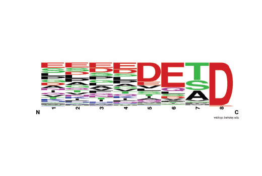 PTMScan ®  Cleaved Caspase Substrate Motif [DE(T/S/A)D] Kit