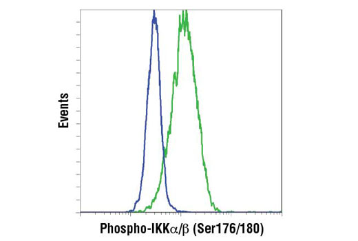 NF-kappaB Pathway Antibody Sampler Kit