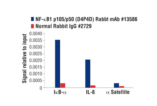 NF-kappaB Pathway Antibody Sampler Kit II