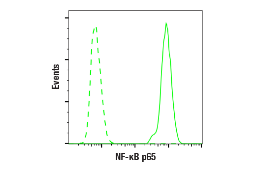 NF-kappaB Family Member Antibody Sampler Kit