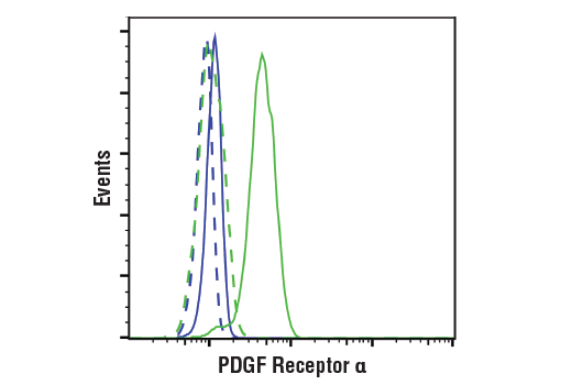 Cancer Associated Fibroblast Marker Antibody Sampler Kit